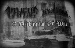 Afflictis Lentae : A Declaration of War